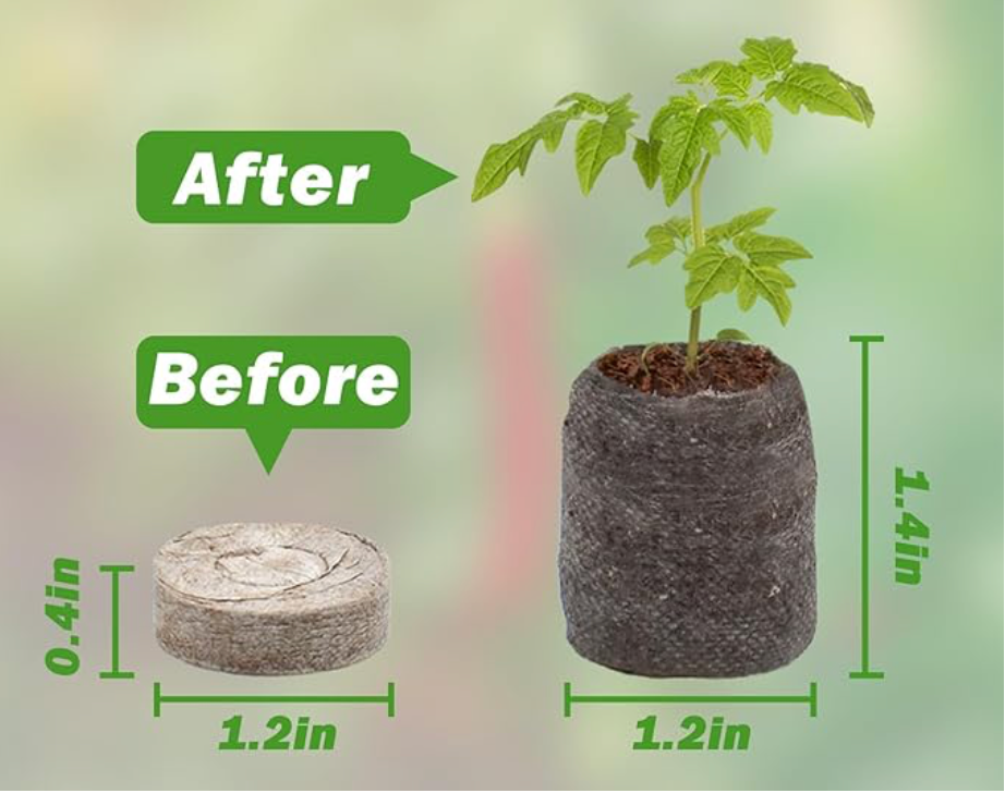 Grow Your Own Reefer: Auto Flowering Cannabis Seeds